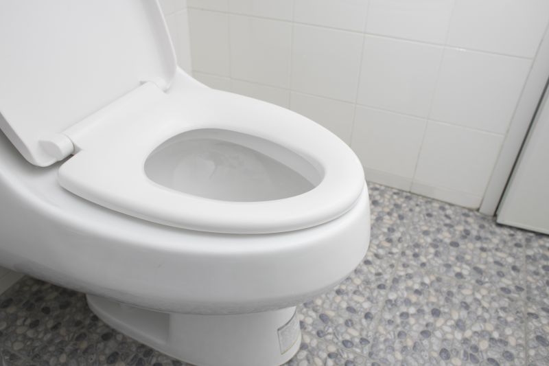 Smart Toilet Features